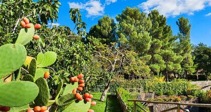 Belvilla by OYO Montefiore