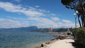 House | View from property