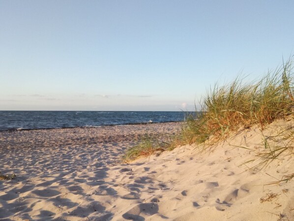 Une plage de sable offrant une vue dégagée sur l’océan.