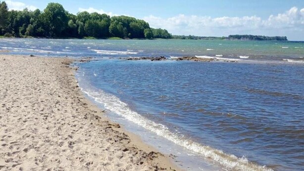 A sandy beach with gentle waves and a forested area in the background. - Quaint Apartment in Zierow near Sea (Zierow)