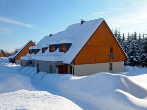 Exterior - Lovely Apartment With Sauna, Pool,ski Boot Heaters,whirlpool (Rícky v Orlických horách)