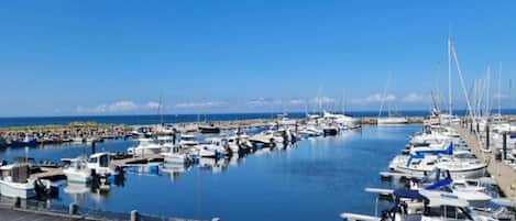 House | View from property