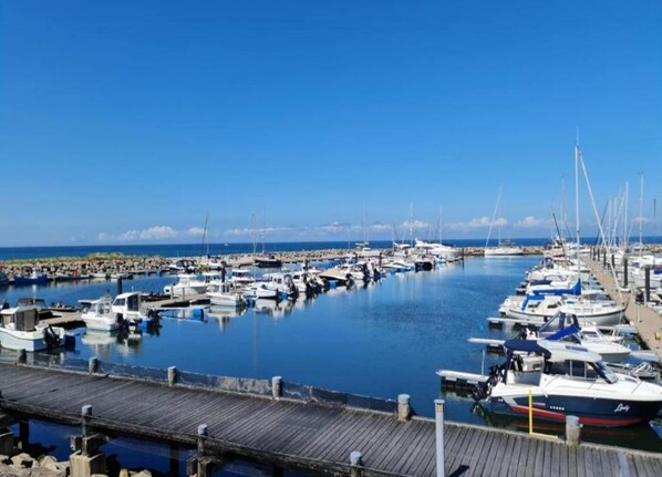 Ferienhaus | Blick von der Unterkunft