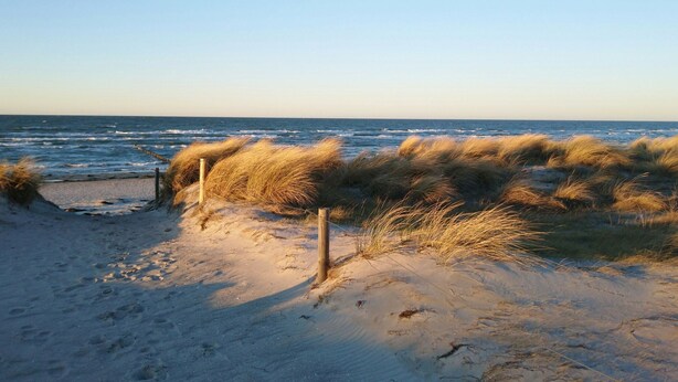 A beach with sand dunes and a wooden fence. - Gemutliches Appartement in Zierow mit Aussenkamin (Zierow)