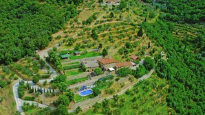 An aerial view of a rural property with terraced fields, a swimming pool, and several buildings. - Cottage in Cortona With Pool & Stunning Views (Cortona)