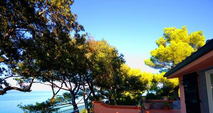 Cozy Holiday Home in Monte Argentario With Private Garden