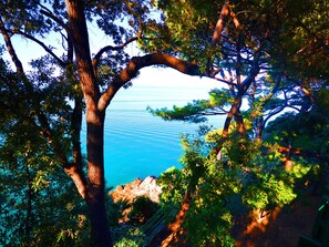 Exterior - Cozy Holiday Home in Monte Argentario With Private Garden (Monte Argentario)