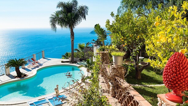 En swimmingpool med liggestole, en palme og udsigt over havet.