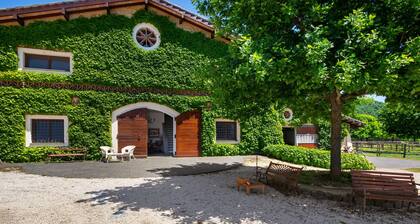 Scenic Apartment in Rome near Lago di Martignano