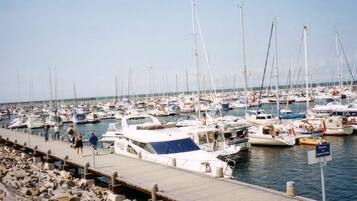 Vista desde la propiedad