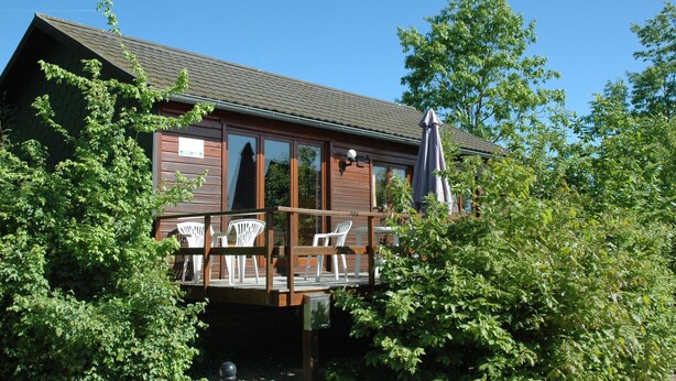 A wooden cabin with a deck, surrounded by dense greenery. - Holiday Home in Belgium With Kids' Playroom (Somme-Leuze)