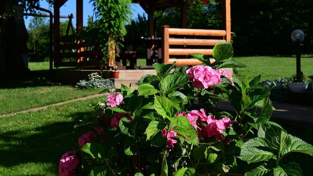 Un kiosque avec un banc en bois et une plante en pot.