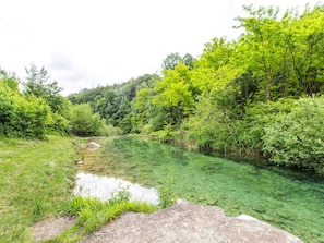 A clear river surrounded by lush greenery and trees.