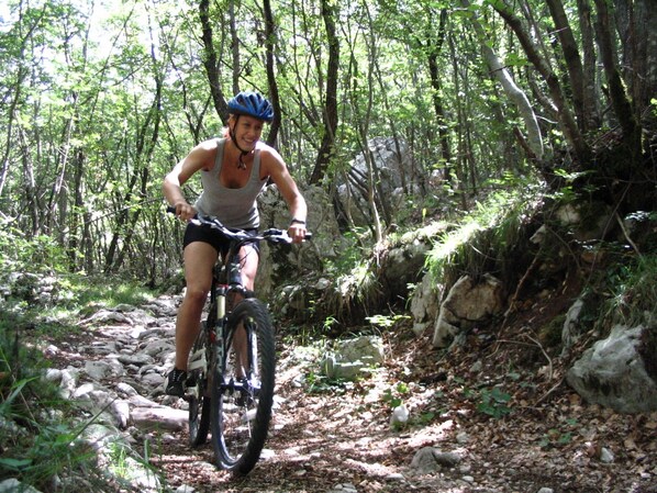 A person riding a bicycle on a rocky trail surrounded by trees. - Holiday Home in Somme-leuze With Pool & Sauna (Somme-Leuze)
