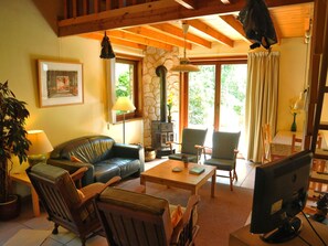 DVD player - Cosy Holiday Home in Stunning Woodland Setting (Erezee)