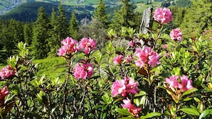 Unclassified image, 2 of 32, button - Beautiful Apartment in Wildschönau-auffach With Terrace (Wildschoenau)