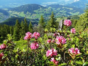 Exterior - Beautiful Apartment in Wildschönau-auffach With Terrace (Wildschoenau)