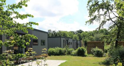 Modern Chalet in the Turnhout Area