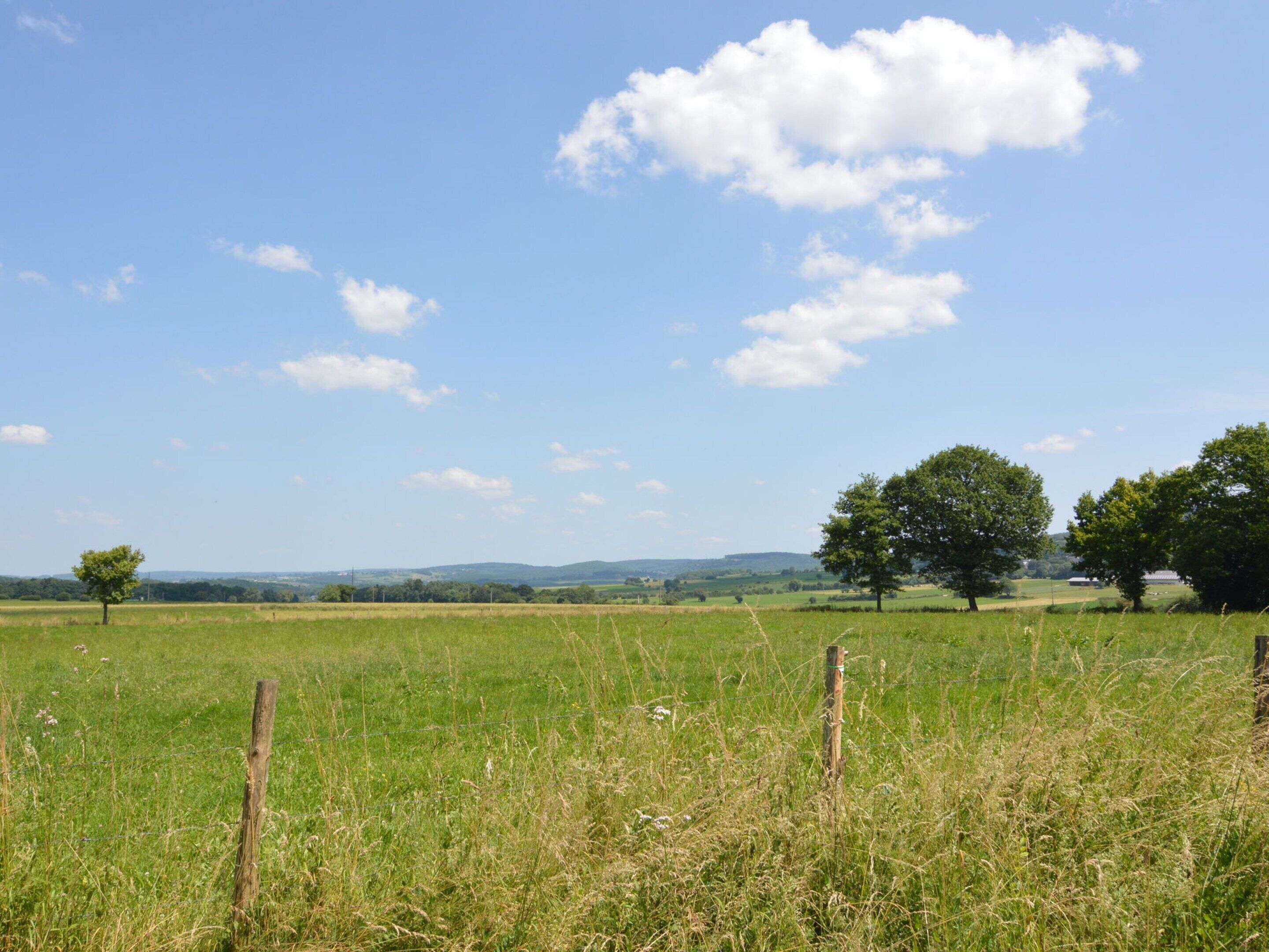 Een landelijk landschap met open velden, enkele bomen en een helderblauwe lucht.