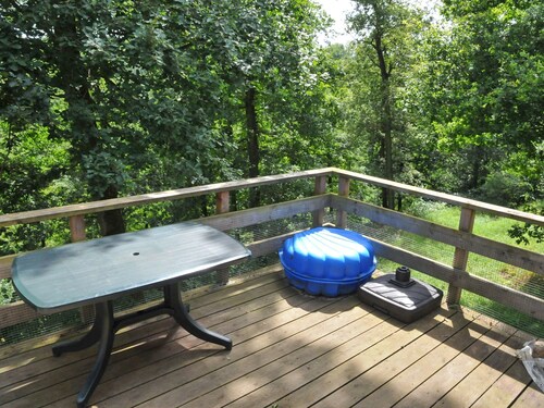 Nicely Furnished Bungalow With a Fireplace Near the Maas