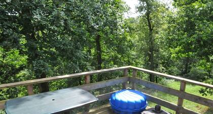 Nicely Furnished Bungalow With a Fireplace Near the Maas