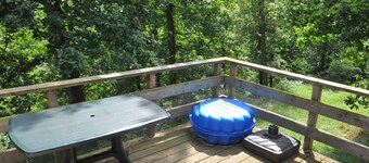 Nicely Furnished Bungalow With a Fireplace Near the Maas
