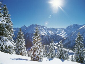 Exterior - Quiet Apartment in Brand Near Ski Area Brandnertal (Brand)