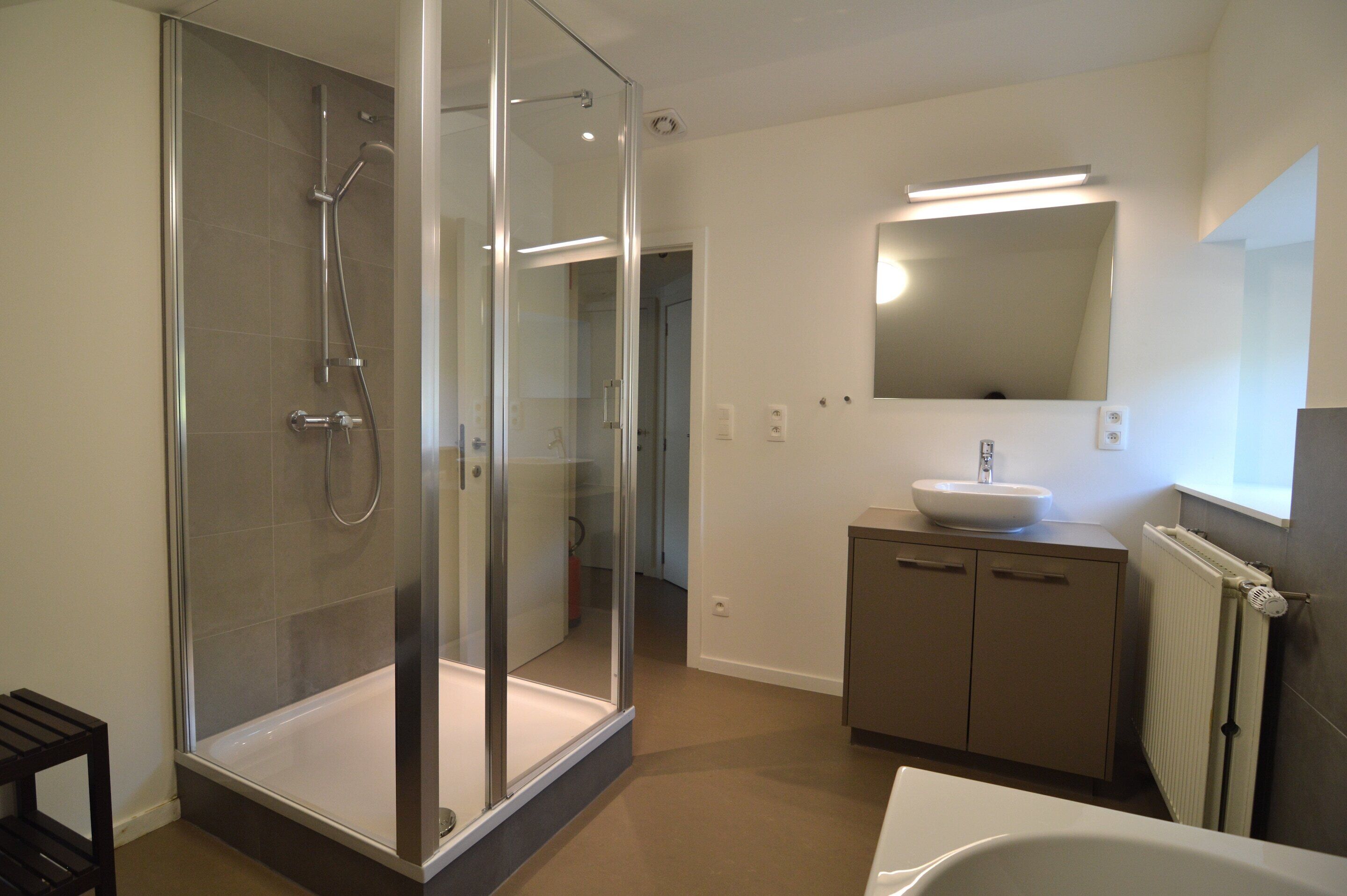 A modern bathroom with a glass-enclosed shower, a sink, and a mirror above it.