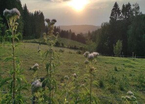 Villa | Blick von der Unterkunft