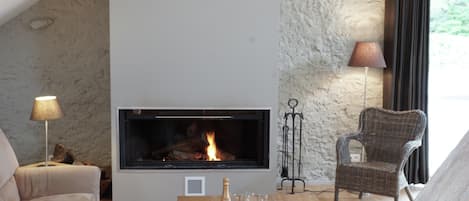 House | Living room | Fireplace