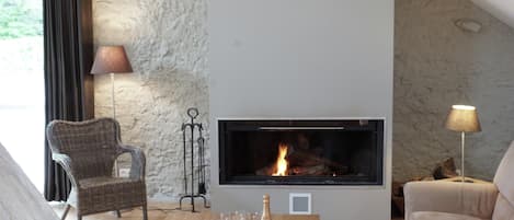 House | Living room | Fireplace