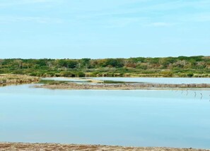 Huis | Uitzicht vanuit accommodatie