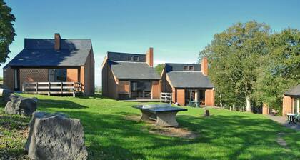 Nicely Furnished Bungalow With a Fireplace Near the Maas