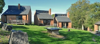 Nicely Furnished Bungalow With a Fireplace Near the Maas