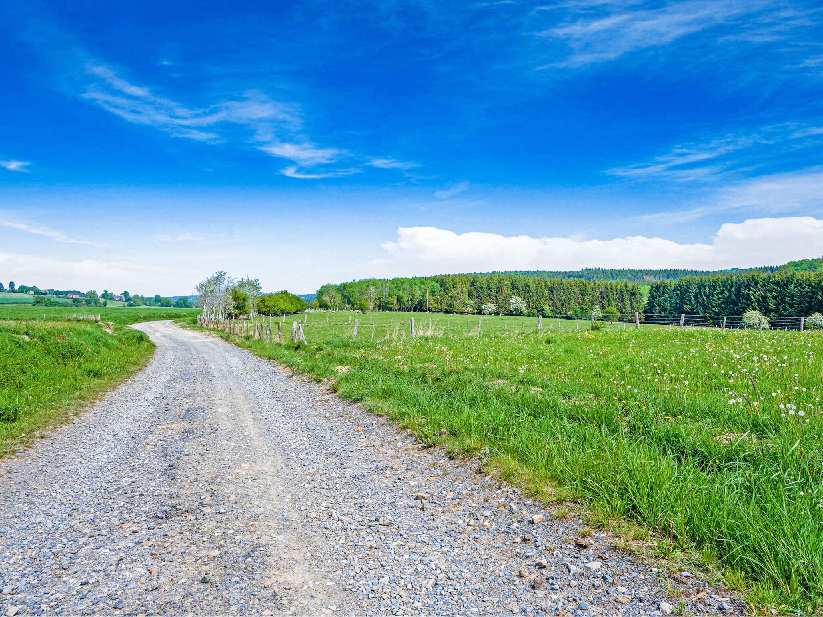 Un chemin de gravier traverse un paysage rural, avec des champs verdoyants et une forêt qui se profile à l’horizon.