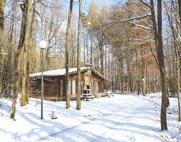 Vista desde la propiedad