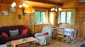 ห้องนั่งเล่น | เตาผิง, เครื่องเล่นดีวีดี