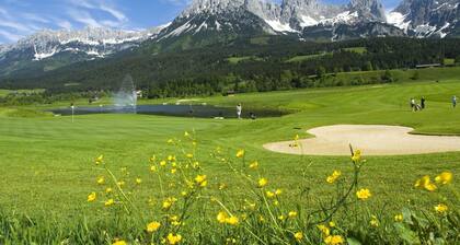 Chalet with 2 apartments in Kirchberg