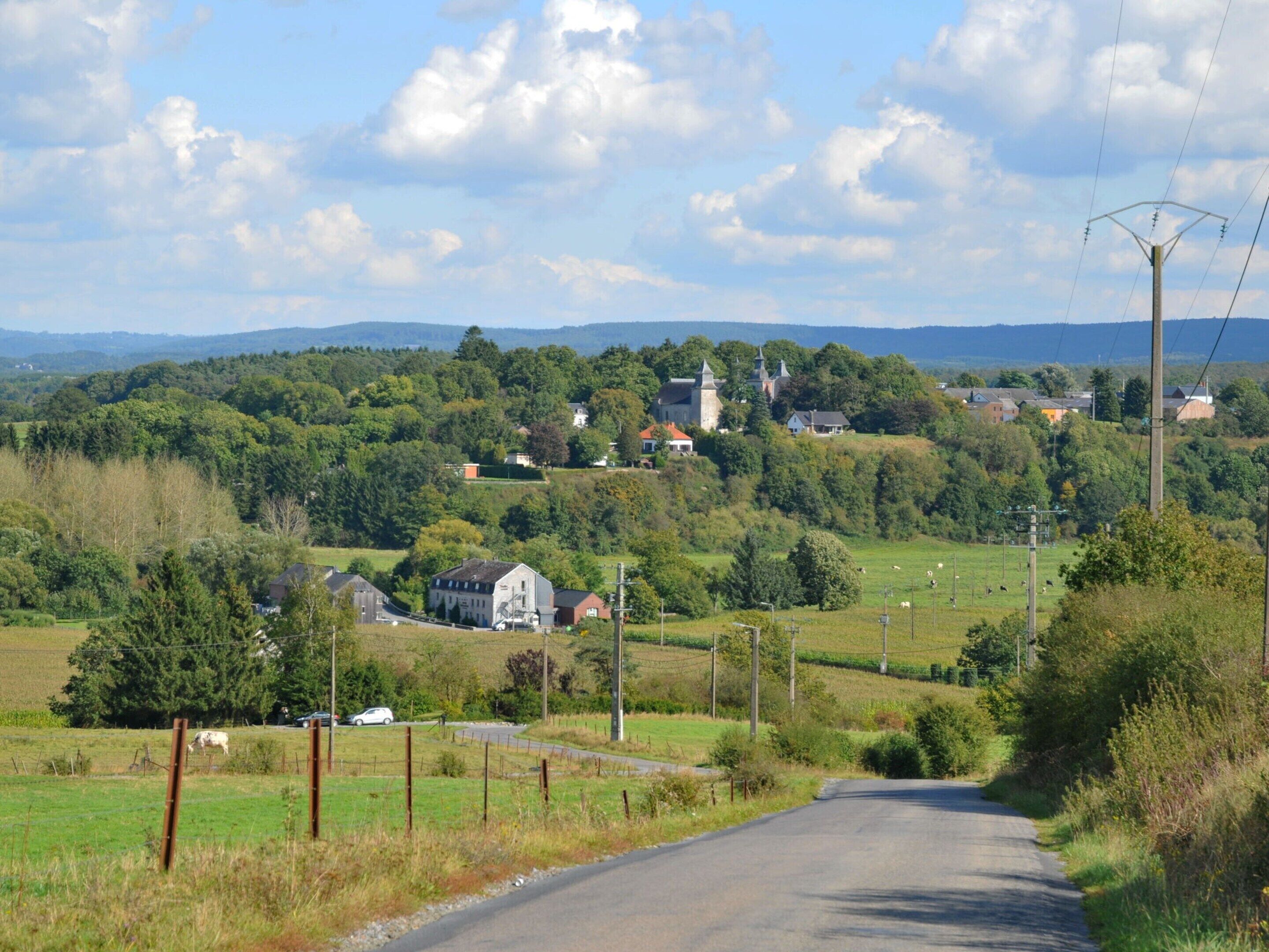 A rural road leading to a village with a church and residential houses.