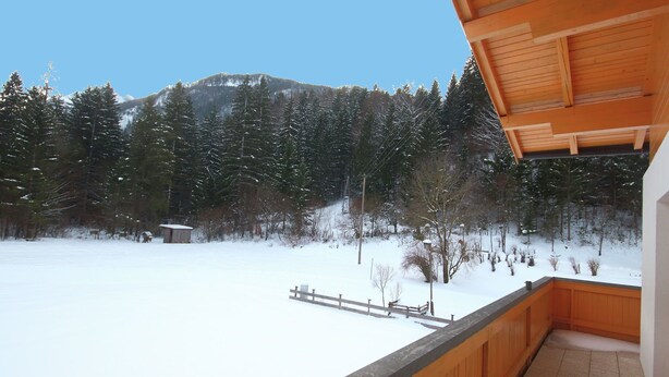 Unclassified image, 1 of 27, button - Spacious Holiday Home in Schwendt Near Mountains (Schwendt)
