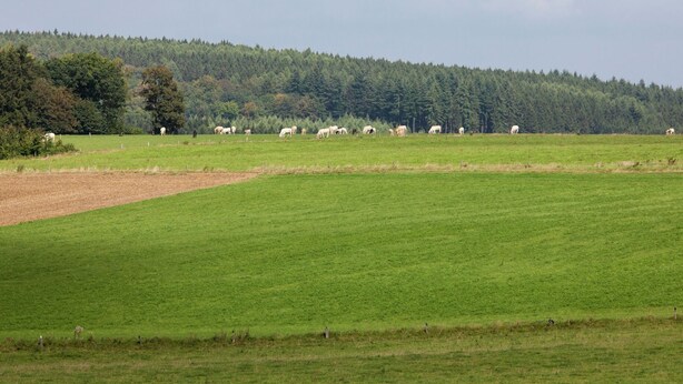 Billede uden beskrivelse, 1 af 24, knap