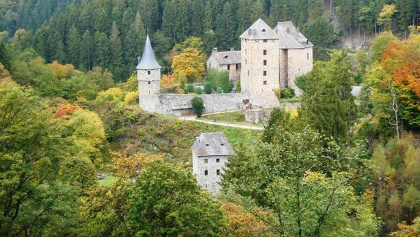 A medieval castle with a tower, surrounded by dense forest and autumn foliage. - Cottage Famille - Family Resort With Wellness in the Heart of the Ardennes (Malmedy)