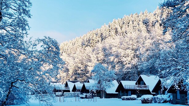 A snow-covered lodge with multiple cabins, surrounded by dense forest. - Cozy Family Cottage for 6 in Ardennes (Malmedy)