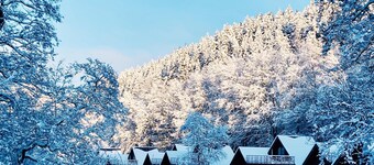 Cottage Excellence - Family Resort With Wellness in the Heart of the Ardennes