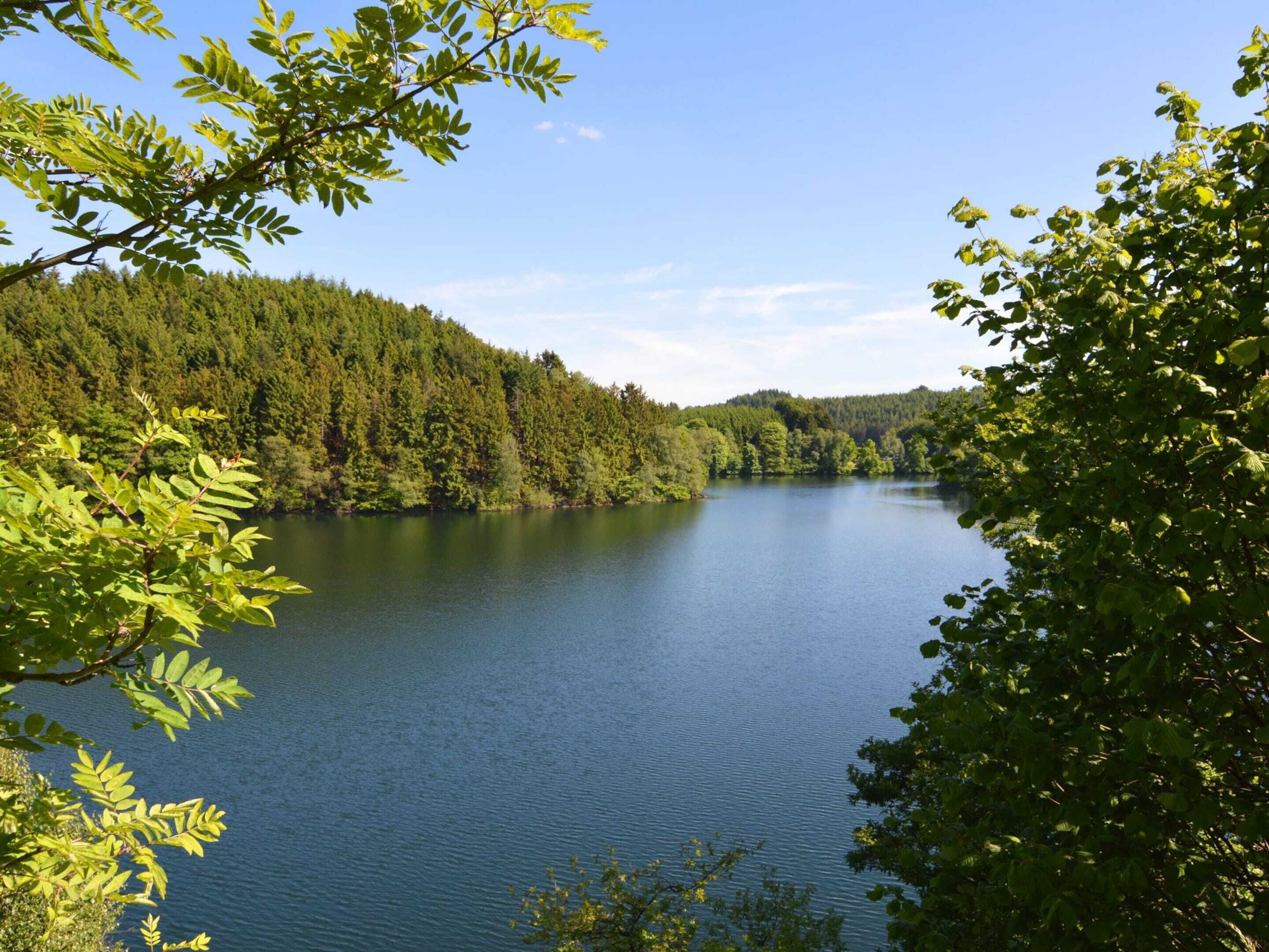 A calm lake surrounded by dense forest.