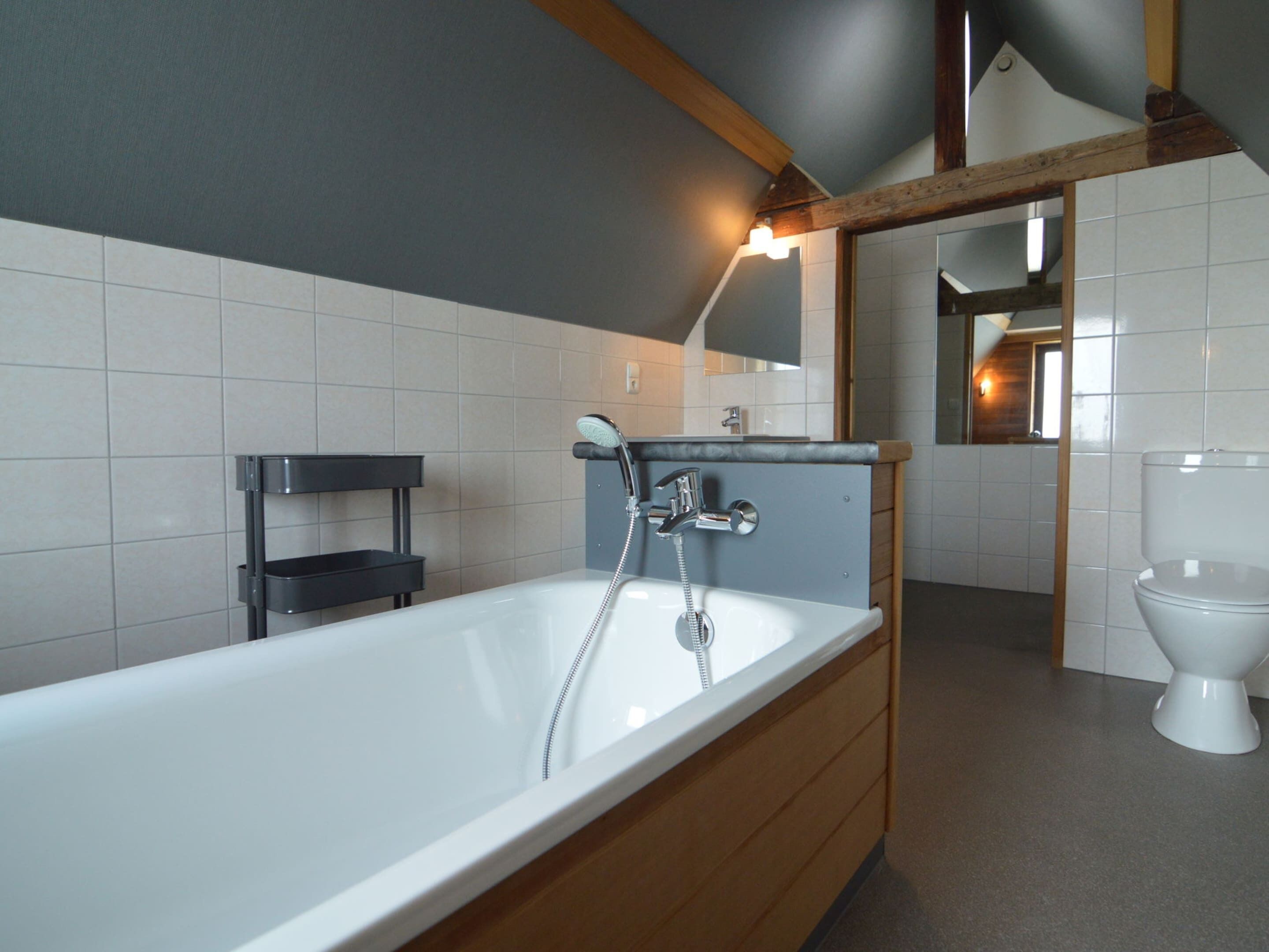 A modern bathroom with a freestanding bathtub, a mirror, and a toilet.