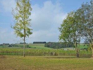 Paesaggio rurale con un campo coltivato, una recinzione e alberi.