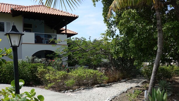 Exterior - Stunning Apartment in Belnem With Private Terrace (Kralendijk)