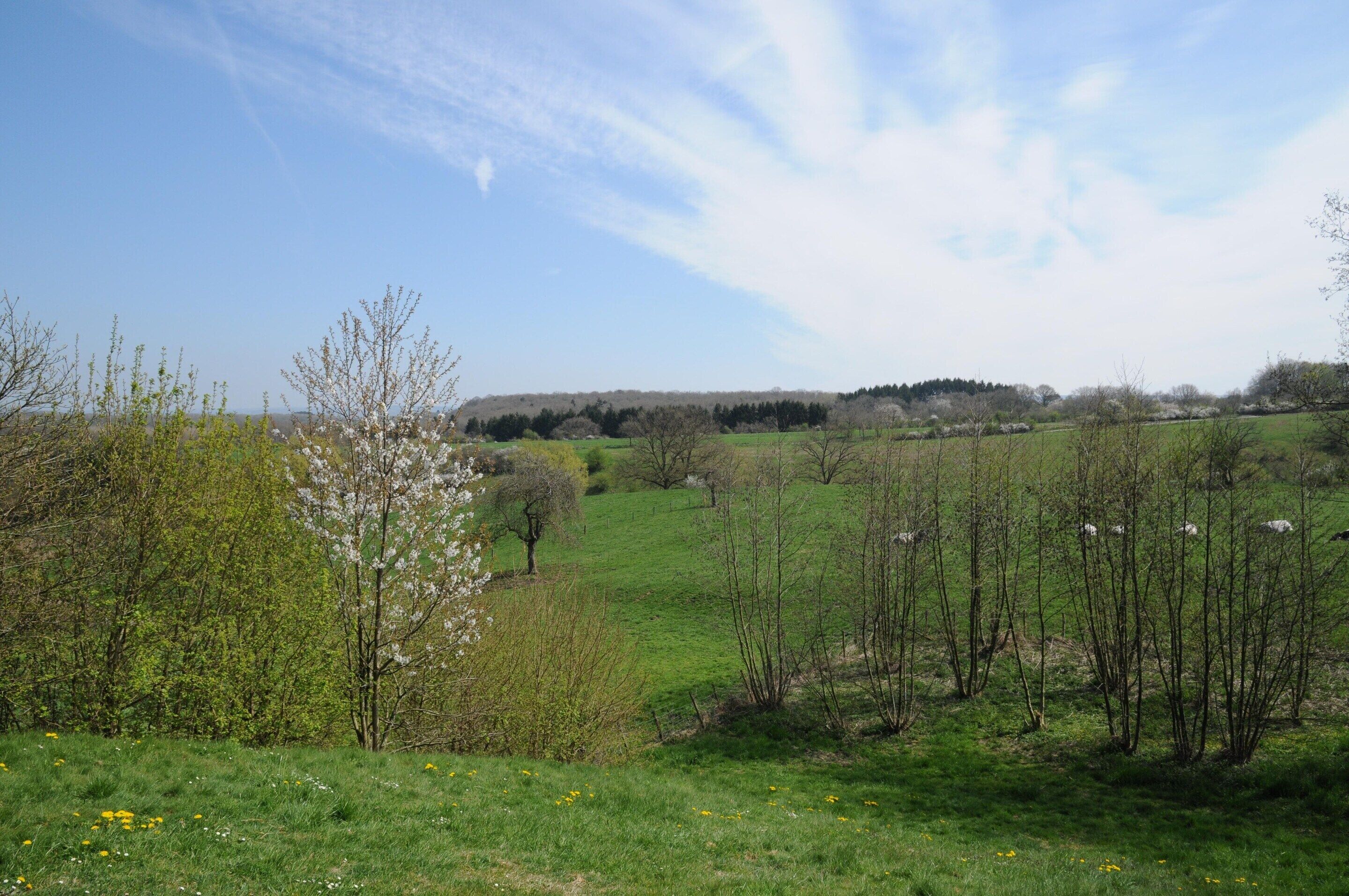 Een landelijk gebied met groene velden, bomen en een heldere lucht.