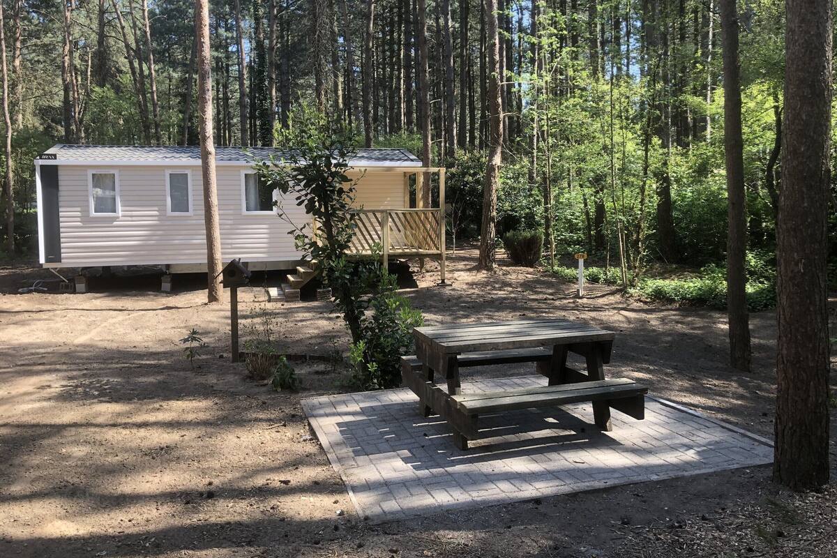 A campsite with two mobile homes, a picnic table, and a wooden deck.